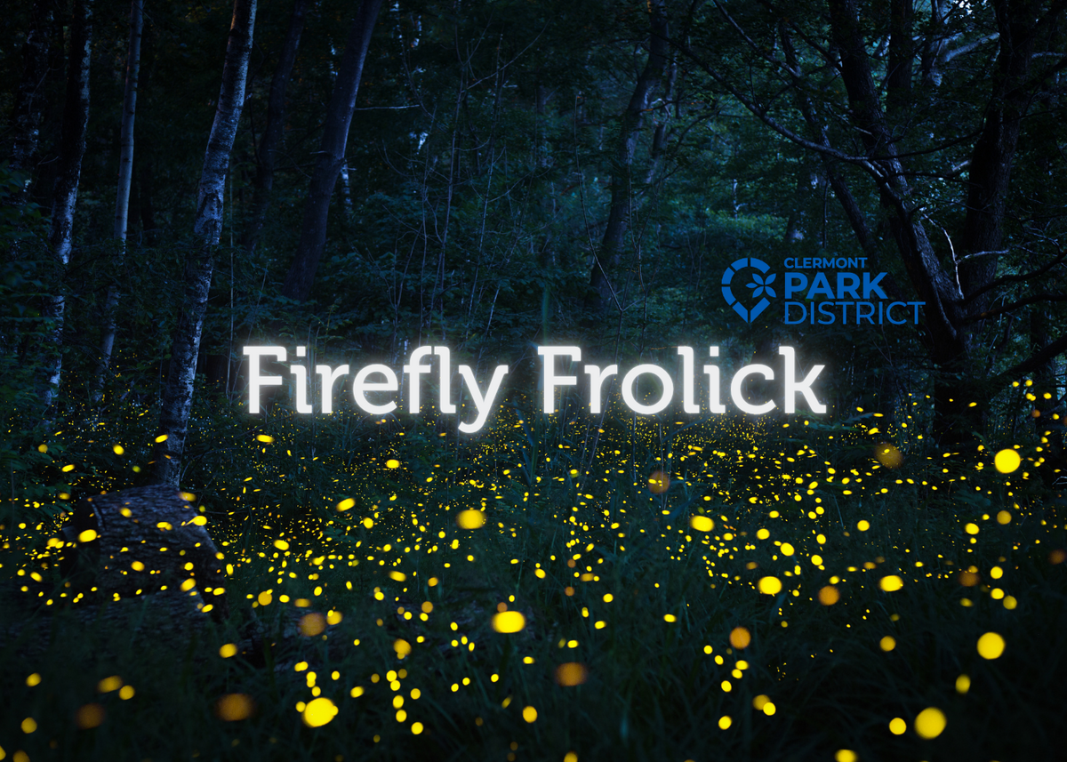 Firefly Frolick is written over an image of a forest trail at night, with many dots of yellow light in the foreground